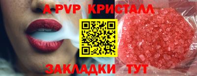 тгк Новодвинск
