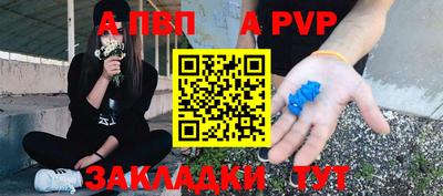ECSTASY Новозыбков