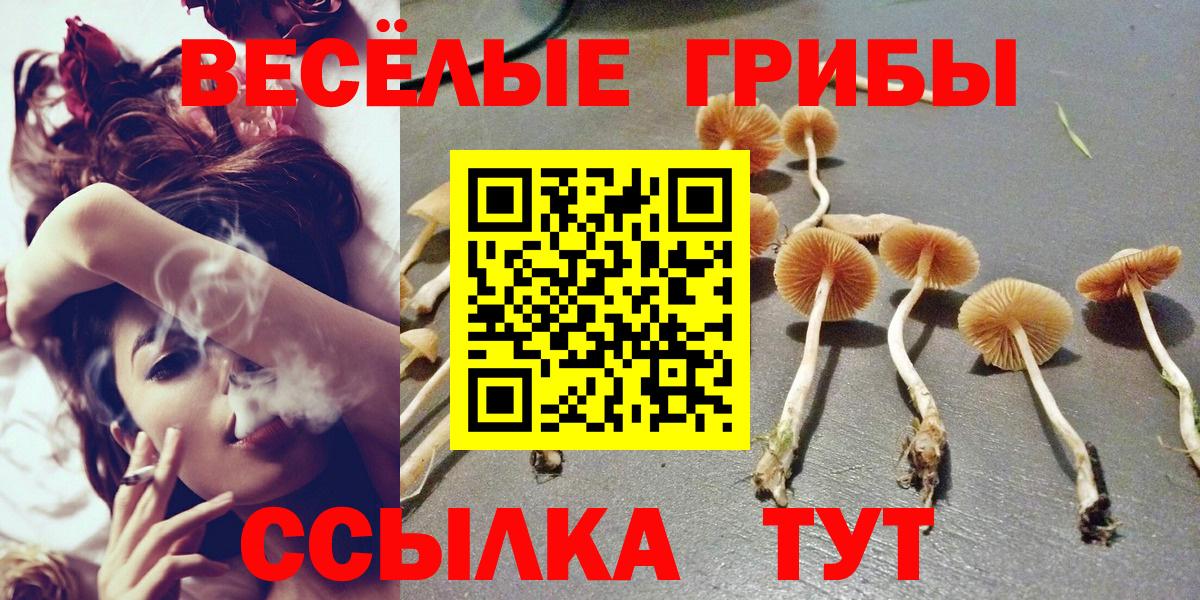 Псилоцибиновые грибы мицелий Химки